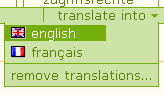 translate_into.gif